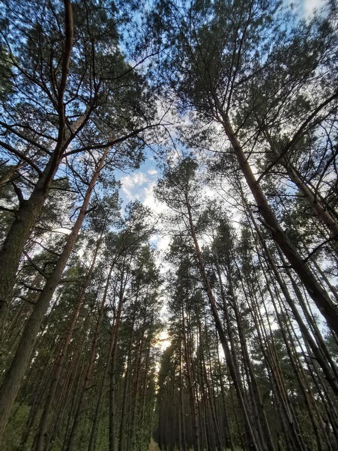 M&K Apartamenty Zielony Zakatek - Sobieszewo Gdańsk Buitenkant foto
