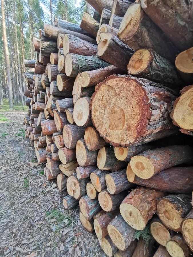 M&K Apartamenty Zielony Zakatek - Sobieszewo Gdańsk Buitenkant foto